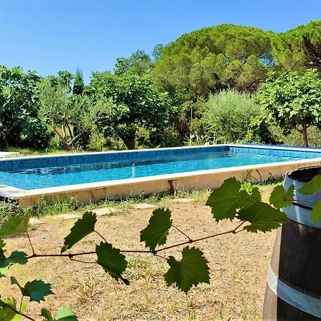 Avec Piscine Privee - Vue Sur Vignoble, A 8 Min De La Villa *
